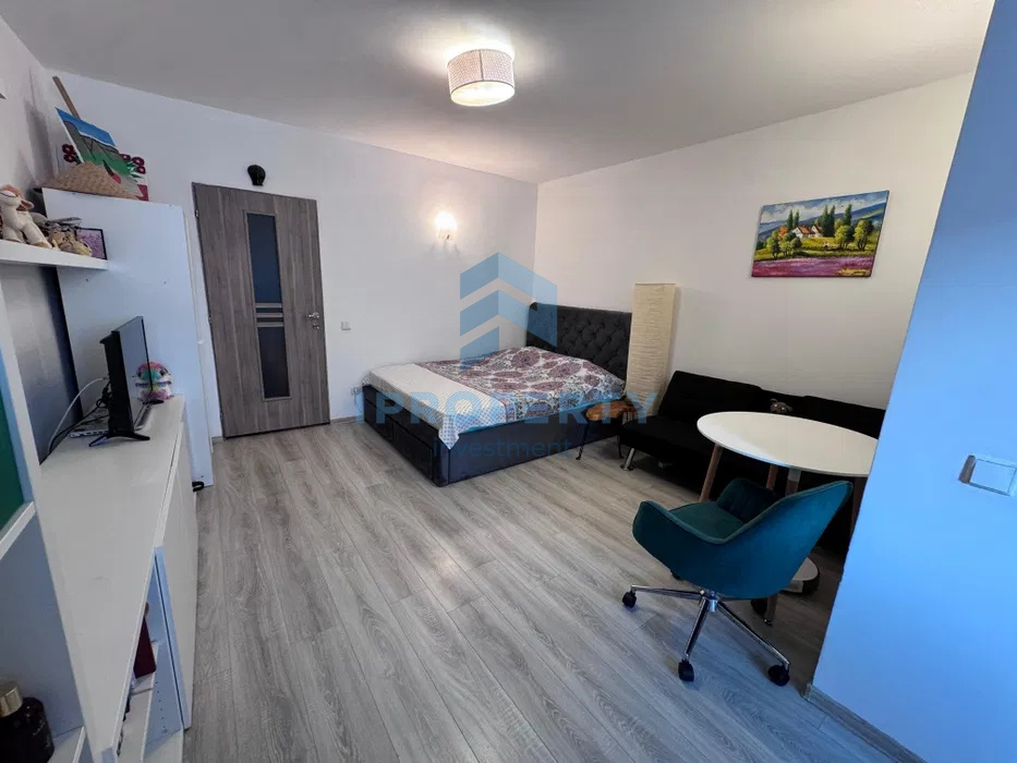imagine-secundara-proprietate-309137