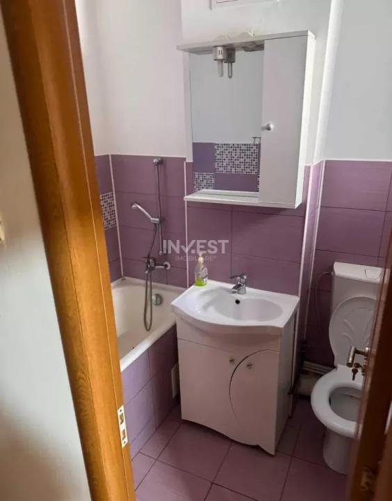 Apartament 2 camere Nicolina Str Bradului - 3