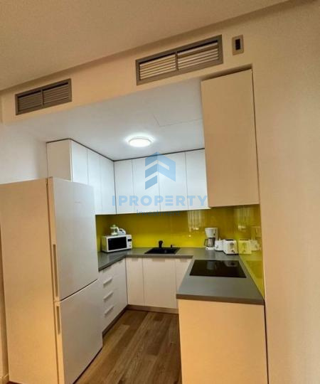 Apartament 2 Camere | Herastrau-Nordului | 3 Minute De Parcul Herastrau| - fotografie proprietate 10