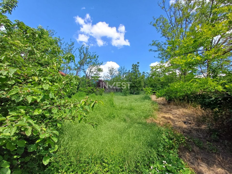 TEREN INTRAVILAN, 602 MP, REDIU - 3