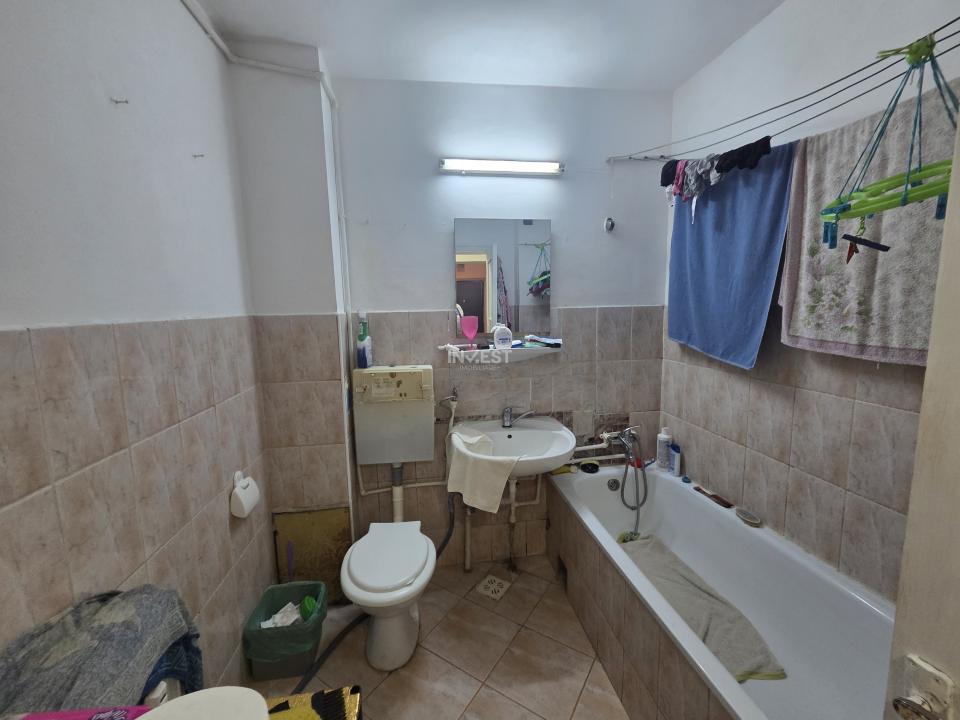 1 camera-Zimbru-ANL - 4