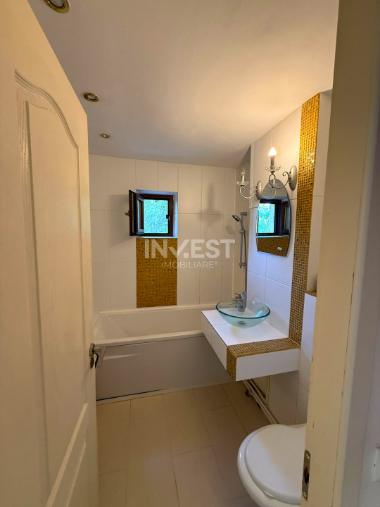 Apartament 3 camere-Sf Lazar-Palas Mall-etaj 1 - 4