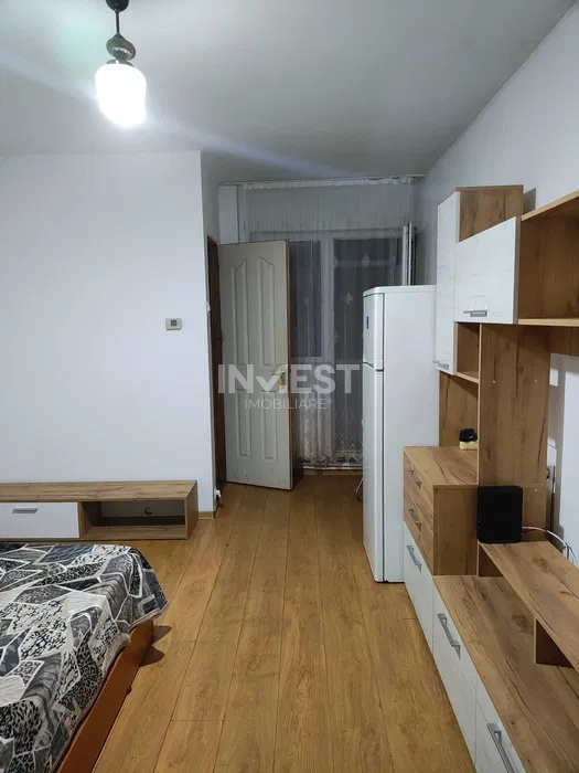 Apartament 1 camera-etaj 1-Tudor Vladimirescu-Iulius Mall - 3