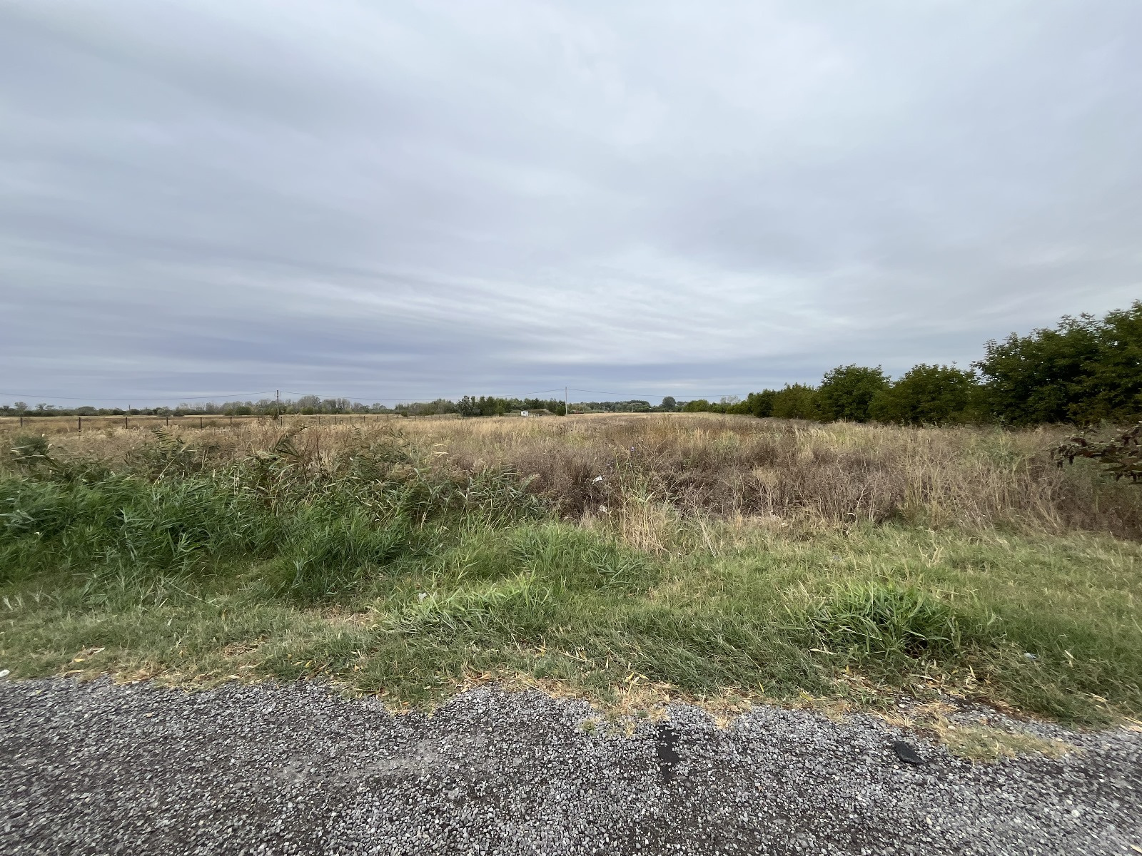Teren industrial premium 15.000 mp la DN61 lângă Centura Găești acces rapid A1