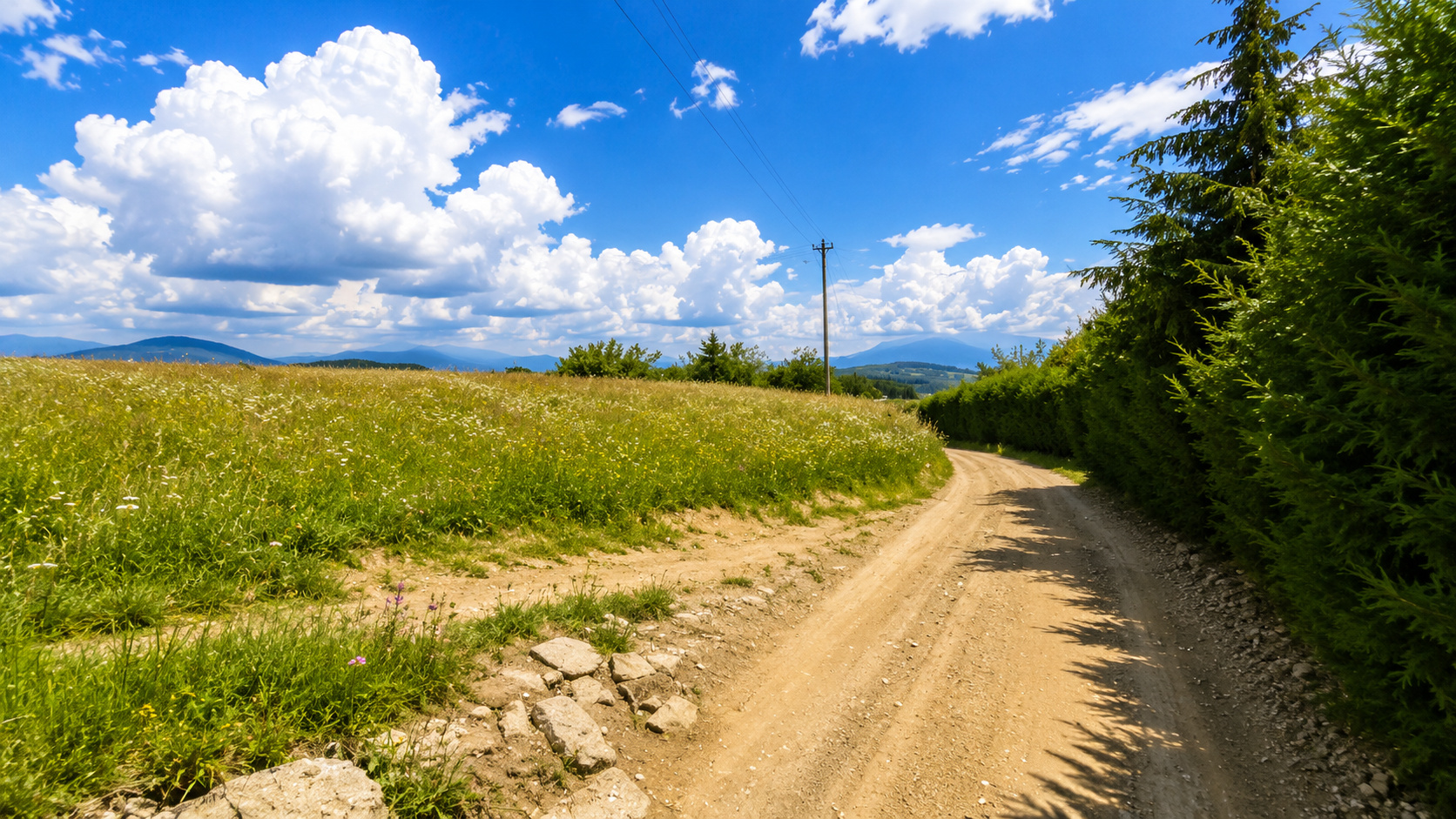 8.544 mp în Poiana Mărului | Teren cu potențial, la doar 1 km de asfalt